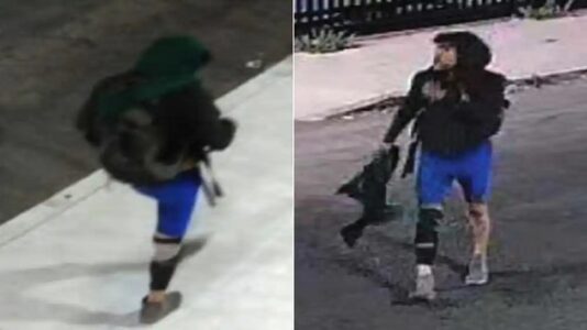 Person of interest sought in connection with I-10 freeway fire in Los Angeles