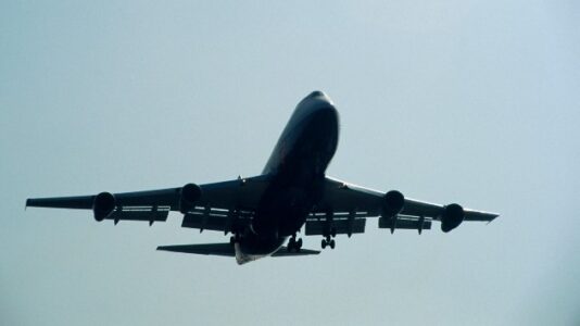 Plane forced to return to JFK Airport after horse on board gets loose