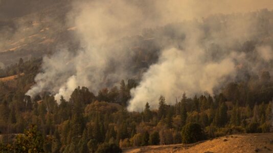 Extreme wildfires are disrupting wildlife ecosystems in California, researchers say