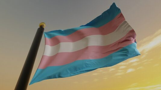 Trans people fight ‘tragic’ narrative by building community