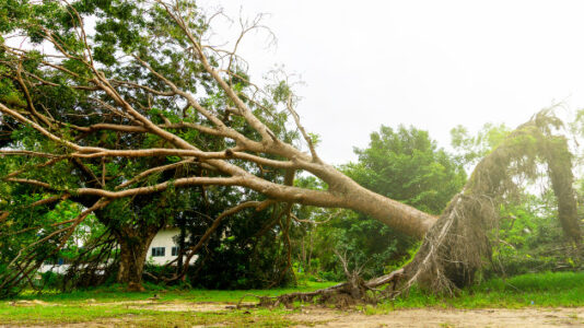 California storm updates: State of emergency in effect as flooding, mudslides hit Southern California