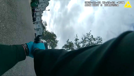 Florida deputy fires weapon after mistaking sound of acorn hitting patrol car for gunshot