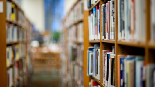 Librarians could be criminally charged over ‘obscene’ books in West Virginia bill