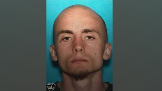 Inmate, accomplice at large after ‘brazen’ ambush at hospital, authorities say