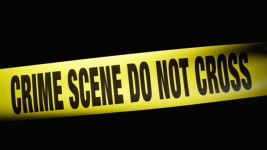 Chicago grieves 11-year-old killed trying to ‘protect his mother’ during domestic violence incident