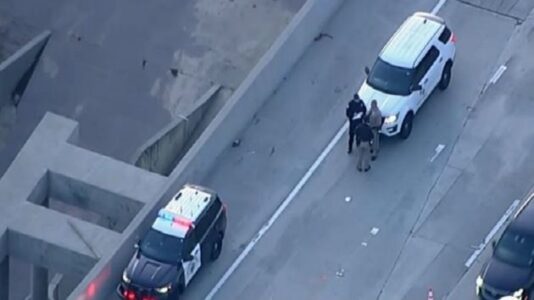 Baby found dead on Los Angeles highway linked to family’s murder-suicide, police say