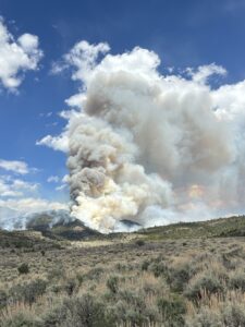 South Beaver RX Burn a Success