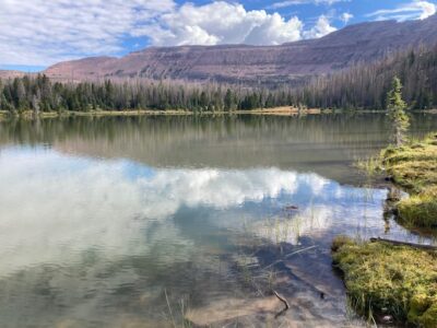 DWR issues fishing emergency change at Fall Creek and its tributaries, including Phinney and Anderson lakes