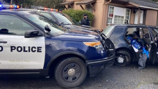 Police, cancer researchers team up to track stolen vehicles