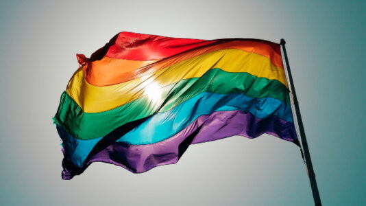 SLC Mayor Unveils Flags That Comply With New Law