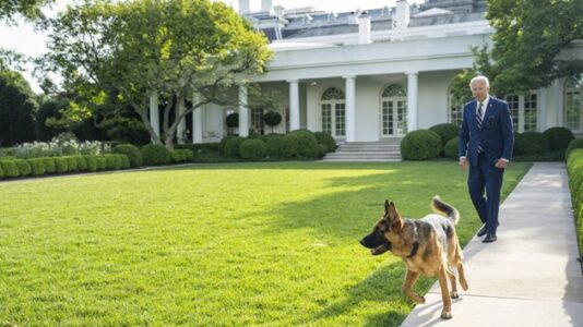 Biden’s dog Commander bit Secret Service agent while president took him on a walk, records show