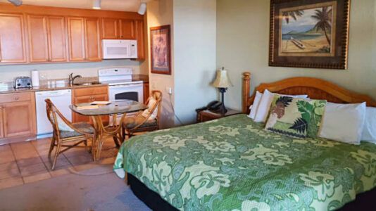 Maui Strong 808: Maui fire survivors upset with living conditions from FEMA’s housing program