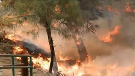 As stifling heat blankets the West, here’s what you can expect