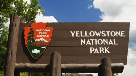 Yellowstone geyser explosion sends visitors running