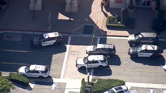 Tourist fatally struck by suspects’ vehicle during robbery at outdoor mall in California: Police