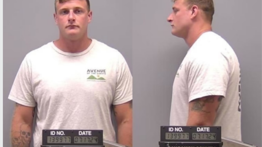 Illinois deputy charged in fatal shooting of woman who reported intruder