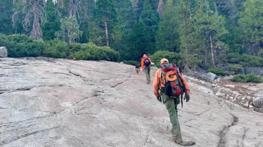 Search underway for 70-year-old California man who went missing after taking Jeep on off-road trail