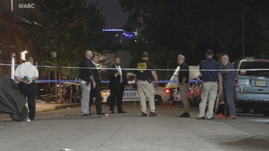 ‘Cold-blooded’ killing of migrant prompts hate crime charges against NYC parks worker