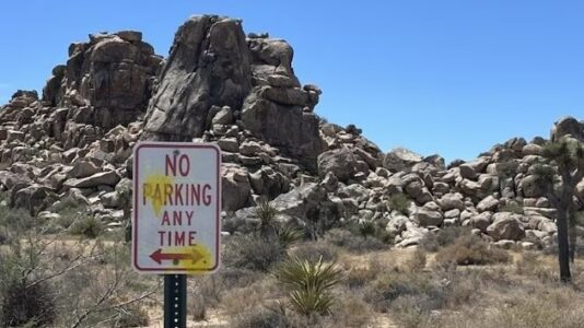 Three German tourists deface national park in paintball and slingshot shooting spree