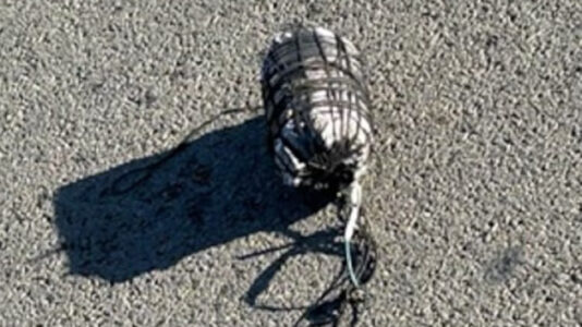 Hawaiian man charged after police discover homemade bomb near Maui school