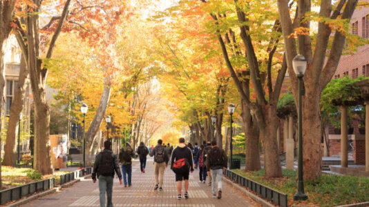 Mixed results in college admissions diversity post-SCOTUS affirmative action decision
