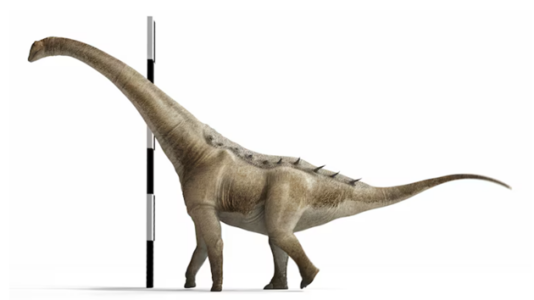 New species of titanosaur identified amid group of ancient skeletons found in Spain