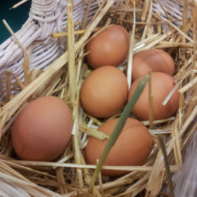 Eggs Recalled After Linked To 65 Salmonella Cases