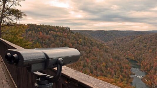Vandals destroy viewfinder for colorblind visitors allowing them to see fall foliage at national park