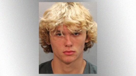 Florida teen with machete arrested for voter intimidation at polling place