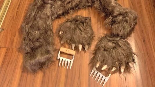 Bear costume used in elaborate car insurance fraud scheme