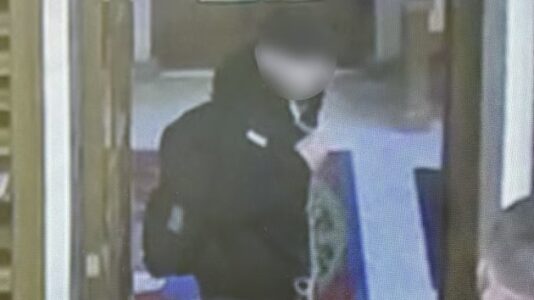 Fake guns found at home of 13-year-old who allegedly planned to scare students at elementary school: Police