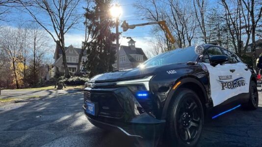 Man nearly electrocuted to death while hanging Christmas lights on tree