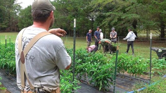 Army veteran’s nonprofit aids former vets facing food insecurity