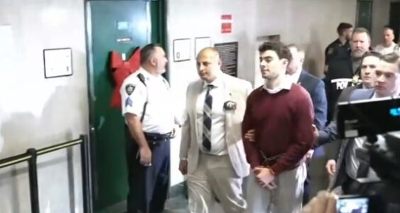 ‘Catalyst’: Luigi Mangione’s supporters brave 11-degree arctic blast to air healthcare grievances