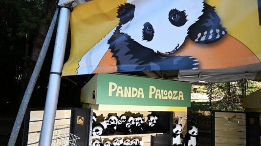 New video of pandas at National Zoo released