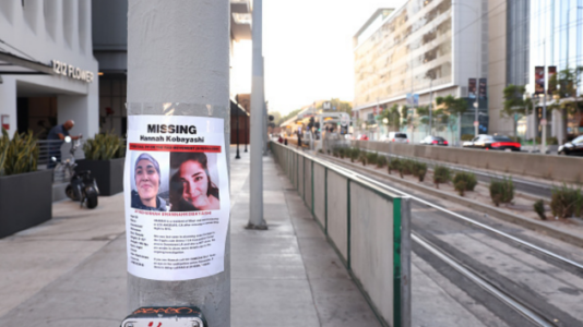 Missing Hawaiian woman crossed freely into Mexico, Los Angeles police say