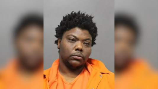 Woman bludgeons mother to death inside her own home: Police