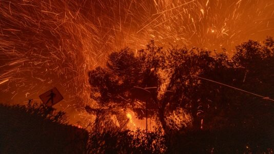 From iconic Los Angeles palm trees and mansions to beach lifeguard stations: ‘Everything was on fire’