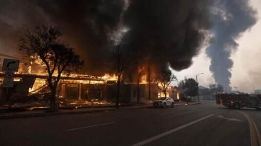 Pets flee to vacant animal hospital amid California wildfires