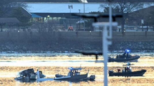 ‘Shower of sparks’: Witness describes midair collision over Potomac River
