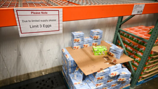 Grocery stores limit egg purchases, thefts increase as bird flu spreads across US