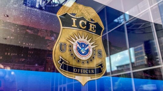 Many noncitizens deported under Alien Enemies Act did not have criminal records: ICE official