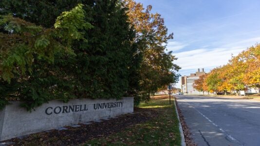 Cornell student who challenged Trump EOs targeting pro-Palestinian protesters now faces deportation