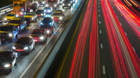 Woman tries to save dog running into traffic, both hit and killed: Police