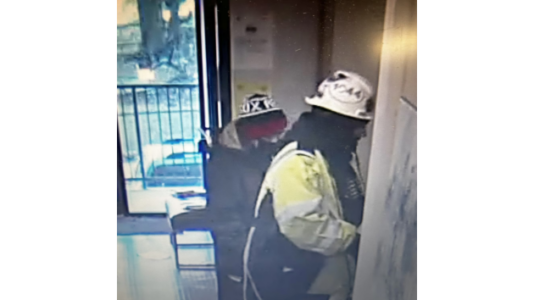 Suspects who posed as city workers sought in armed home invasion: Police