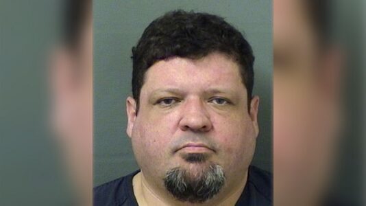 Florida man arrested after driving car into protesters at Tesla dealership: Police