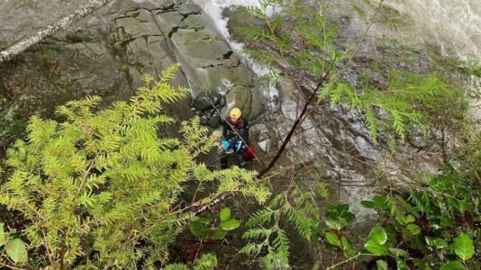 Woman and dog fall into Washington state river, recovery mission underway: Police