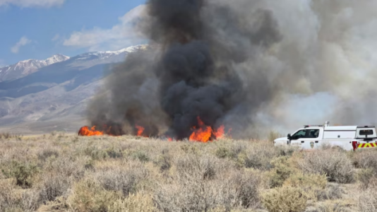 Silver Fire in California spreads to 1,200 acres, prompts evacuations