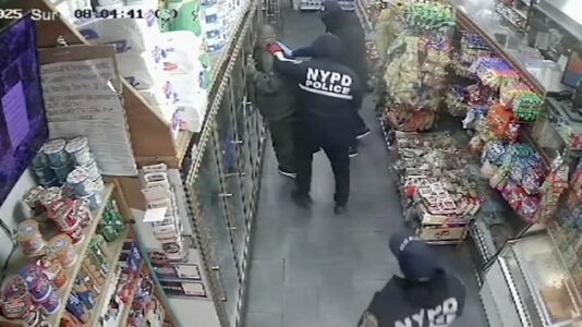 Robbers posing as cops hold up NYC deli, remain at large: Police