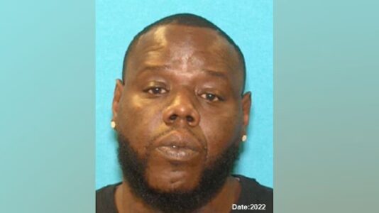 Man at large after allegedly gunning down estranged girlfriend and her daughter: LA sheriff